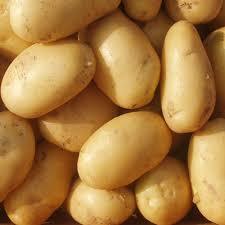 Potato (Chips Sona) (Aloo)