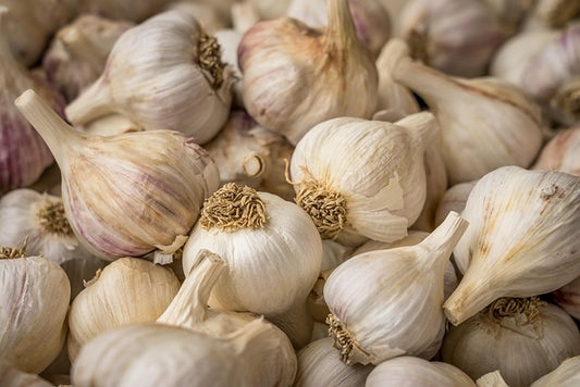 Garlic (लहसुन)