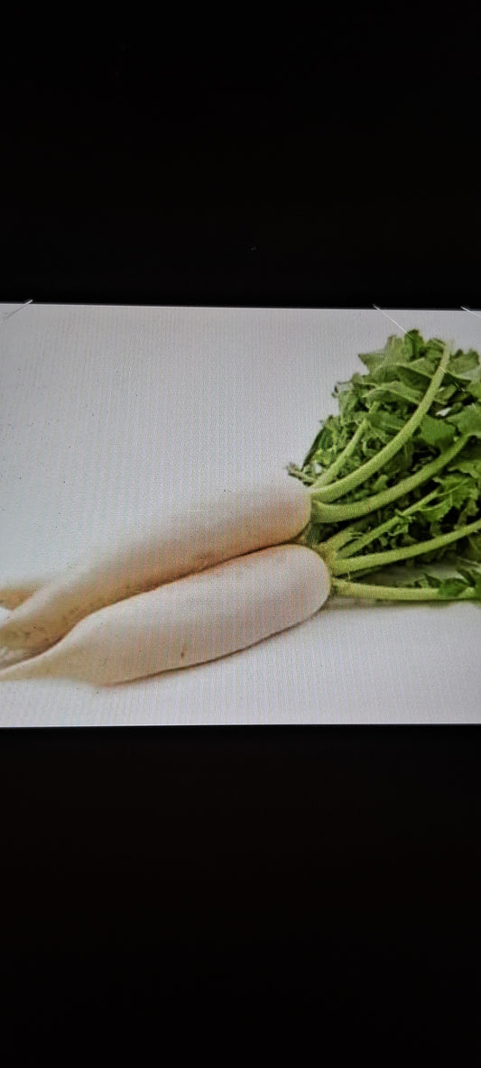 Radish (मूली)