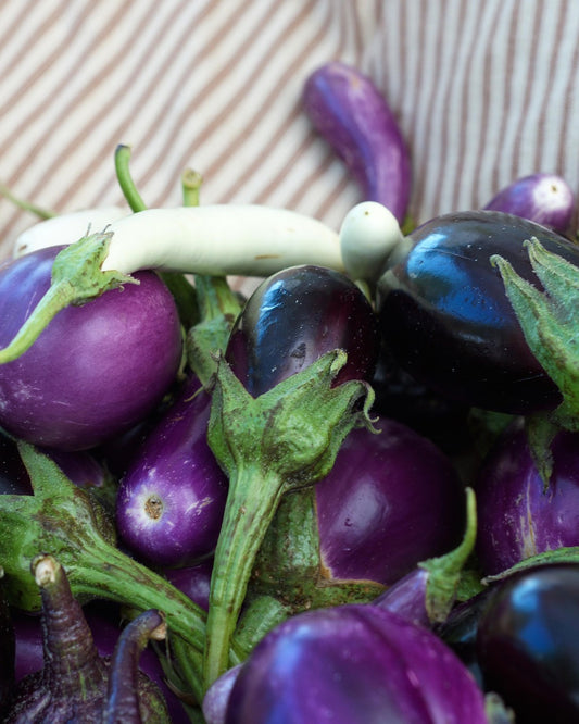 Brinjal Small (बैंगन)