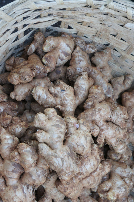 Ginger (adrak)