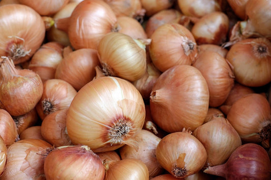 Onion A+(प्याज)