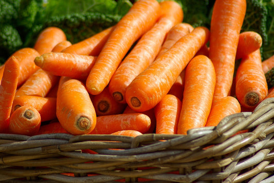 Orange carrot